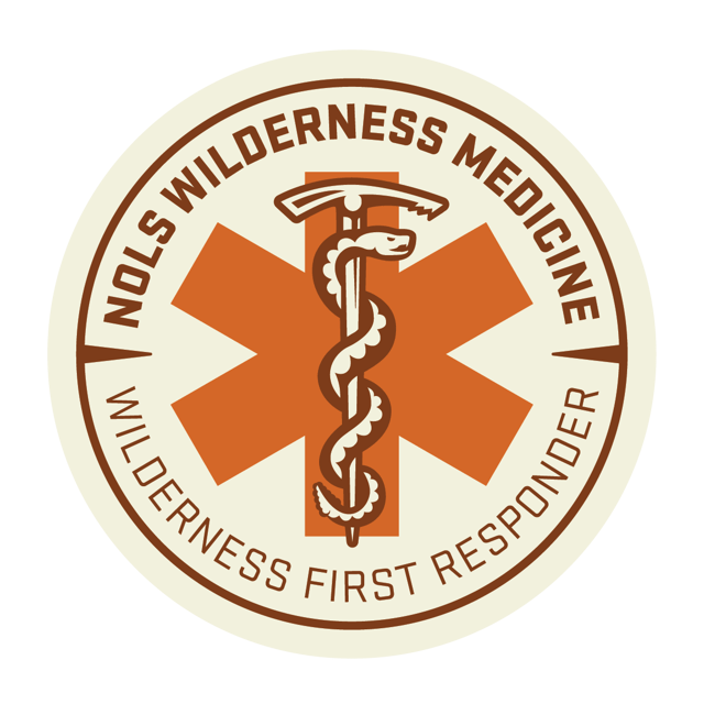 Wilderness Medicine Badges